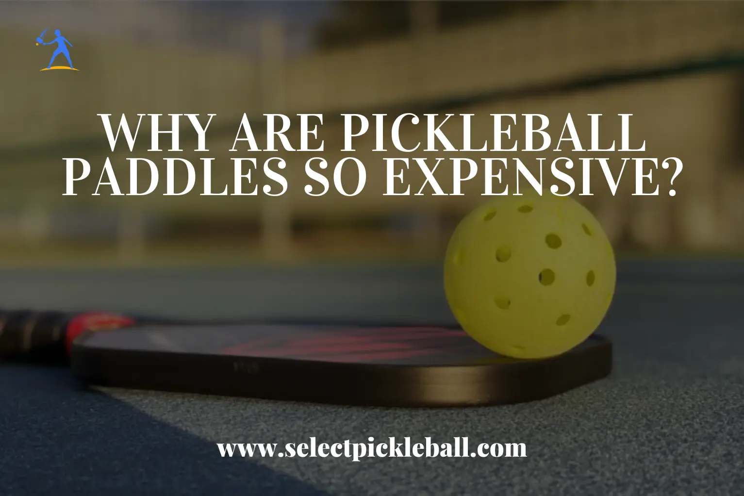 Why Are Pickleball Paddles So Expensive?