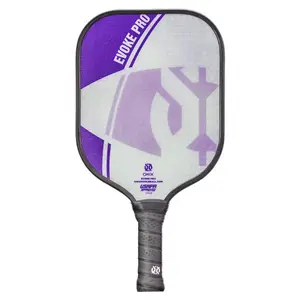 ONIX Evoke Pro - Best for Pop and Power